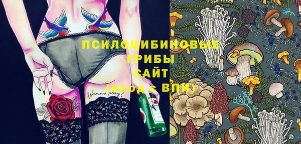 тгк Зеленодольск