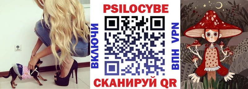 Псилоцибиновые грибы GOLDEN TEACHER  Купить закладки  Лукоянов 